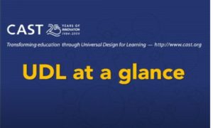 UDL at a glance