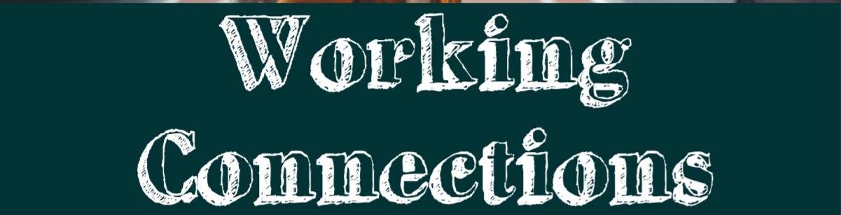 Working Connections - Sociovocational Integration Program - June 2019