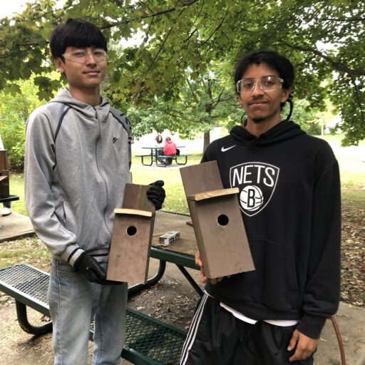 Building birdhouses